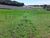 Fazenda, 18 hectares - Foto 1