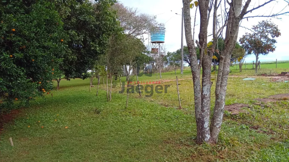 Fazenda à venda com 2 quartos, 20000m² - Foto 4