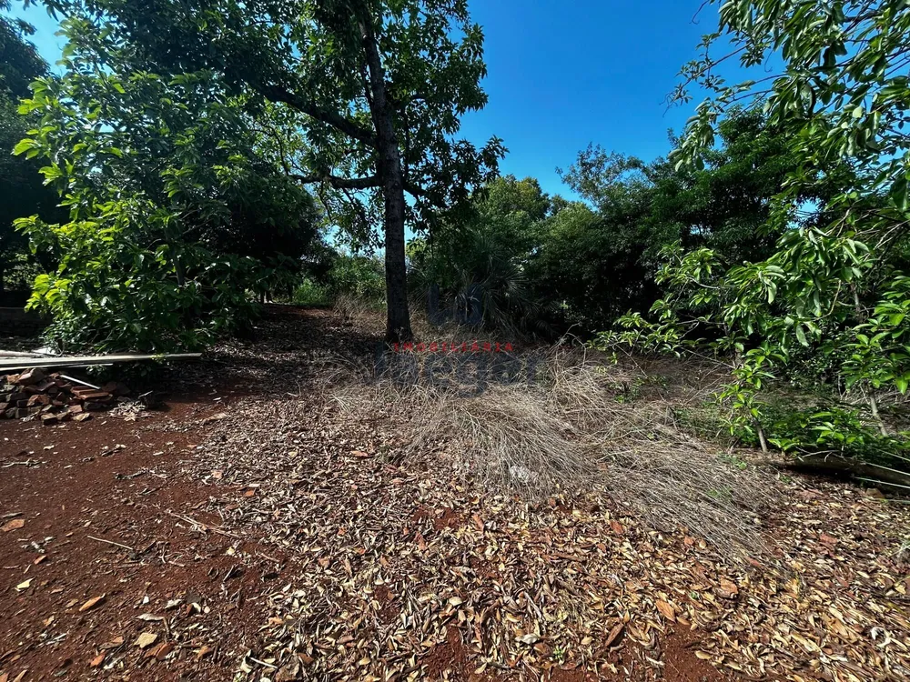 Terreno, 3000 m² - Foto 5