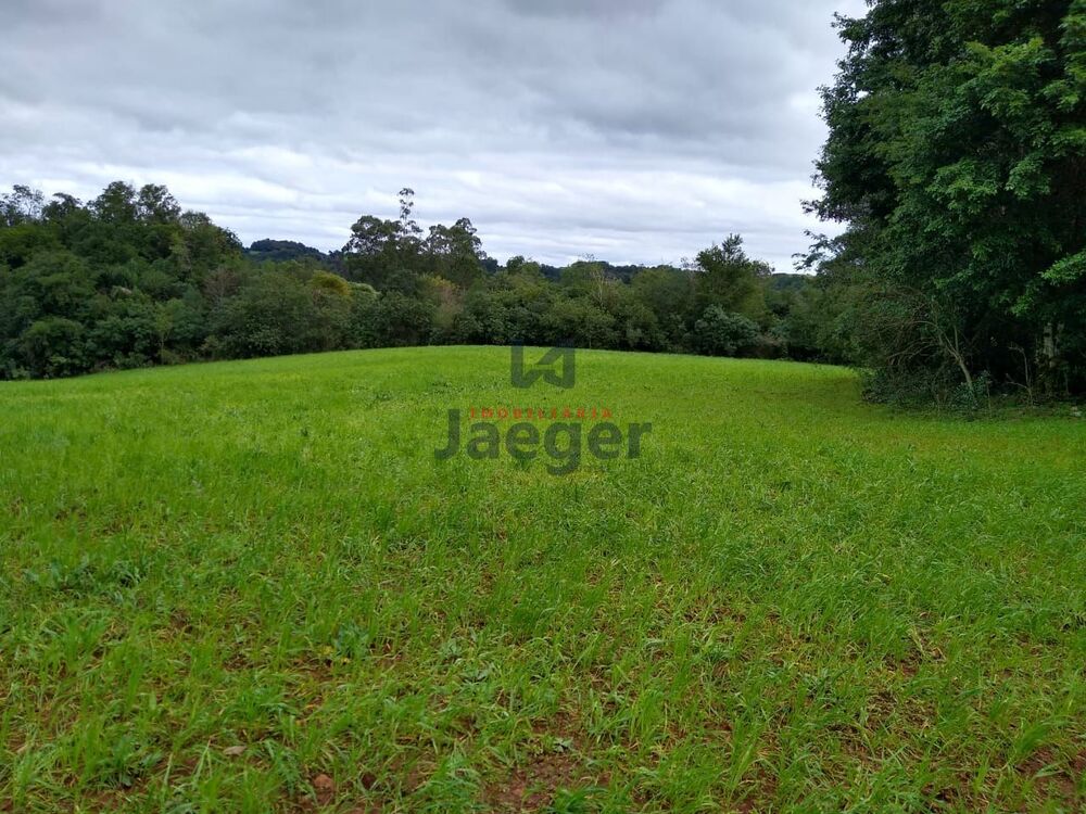 Fazenda-Sítio-Chácara, 15 hectares - Foto 1