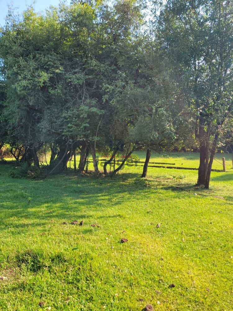 Chácara, 3 hectares - Foto 7
