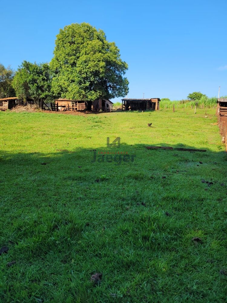 Chácara, 3 hectares - Foto 3