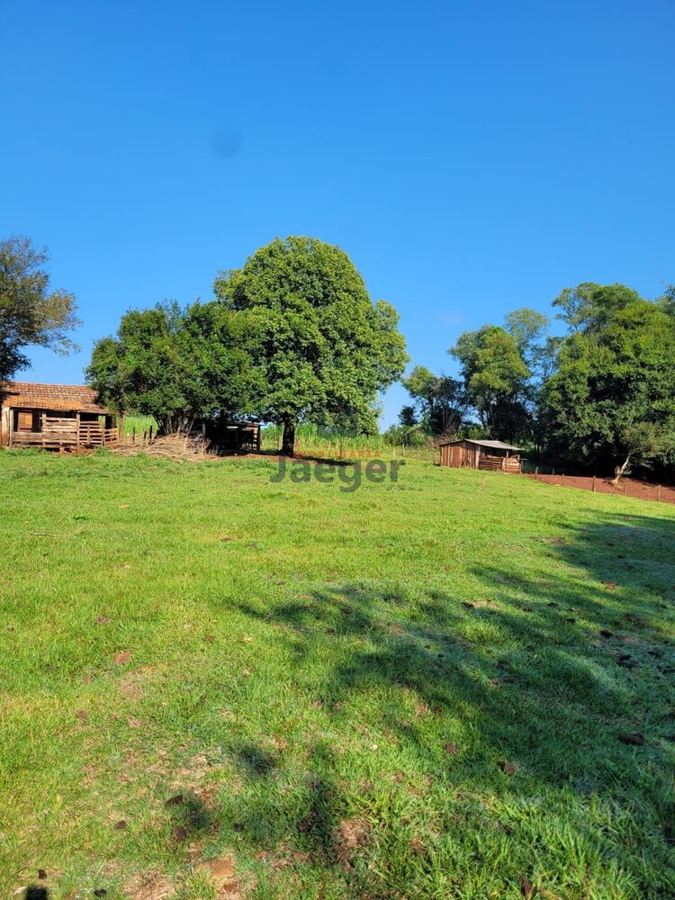 Chácara, 3 hectares - Foto 6