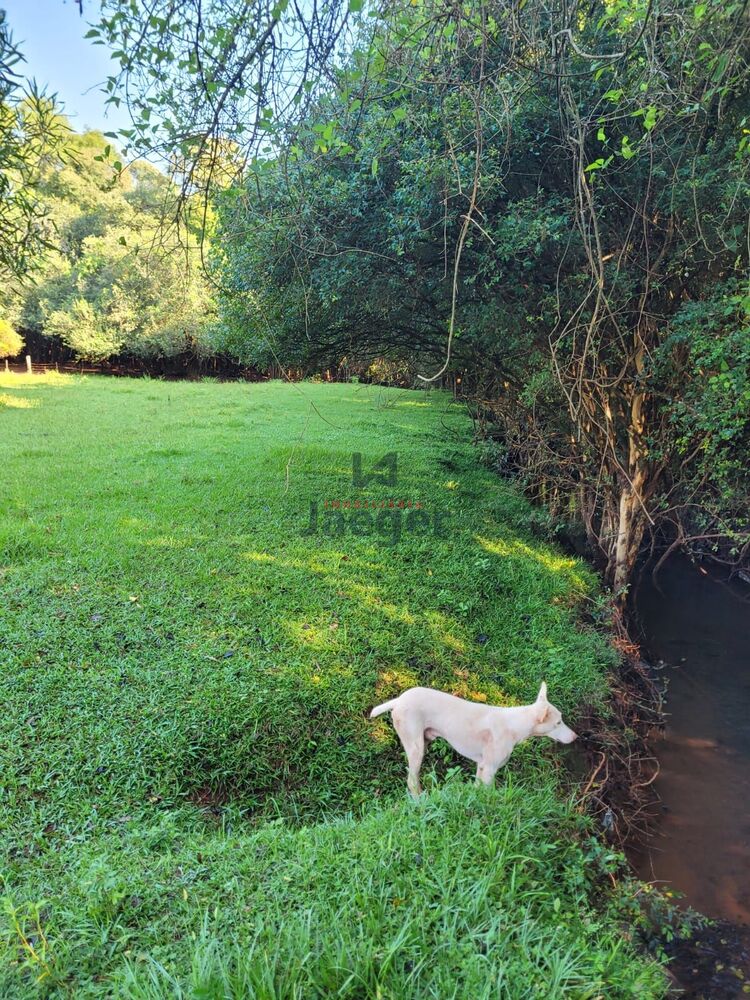 Chácara, 3 hectares - Foto 5