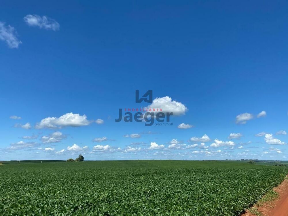 Terreno, 207 hectares - Foto 2