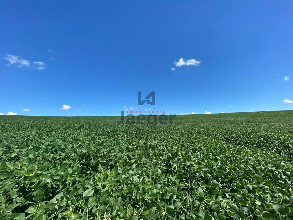 Terreno, 207 hectares - Foto 17