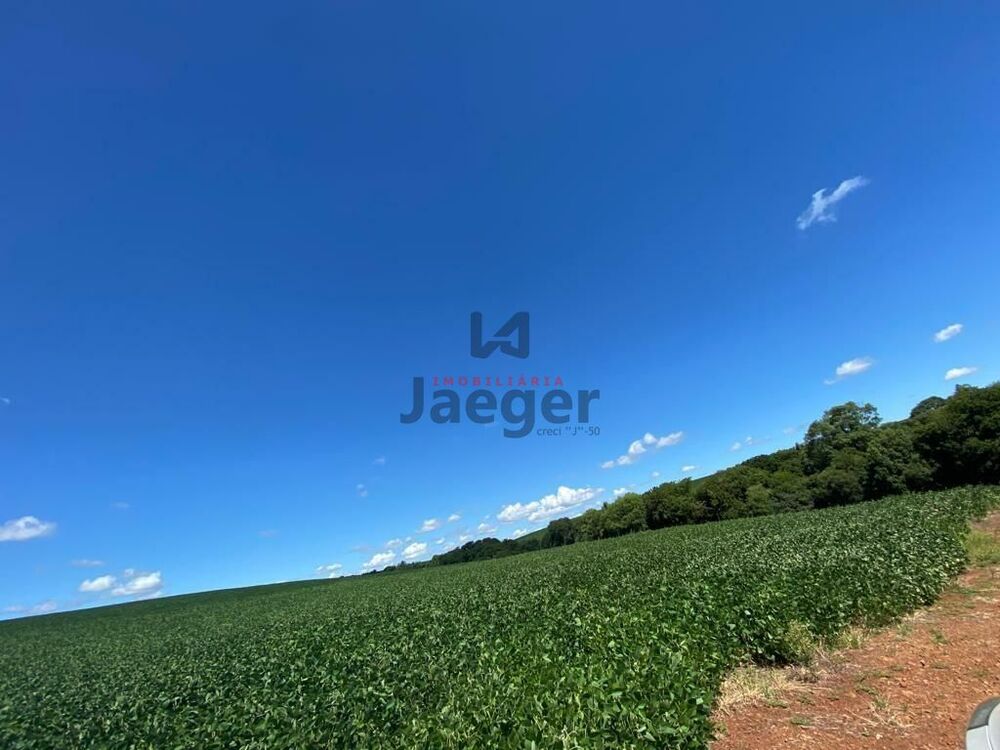 Terreno, 207 hectares - Foto 11