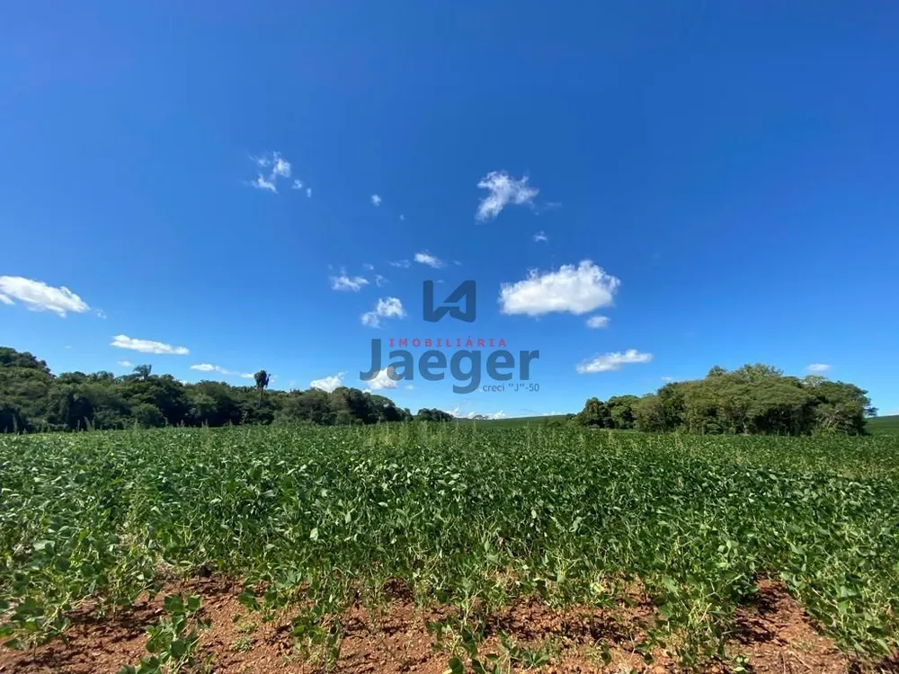 Terreno, 207 hectares - Foto 11