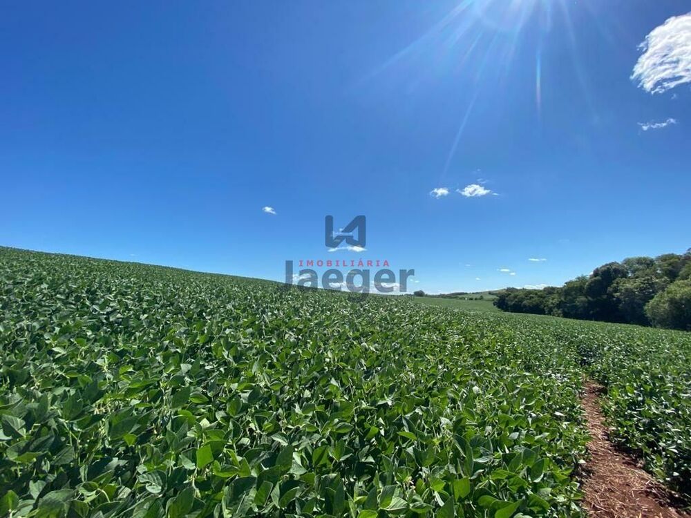 Terreno, 207 hectares - Foto 19