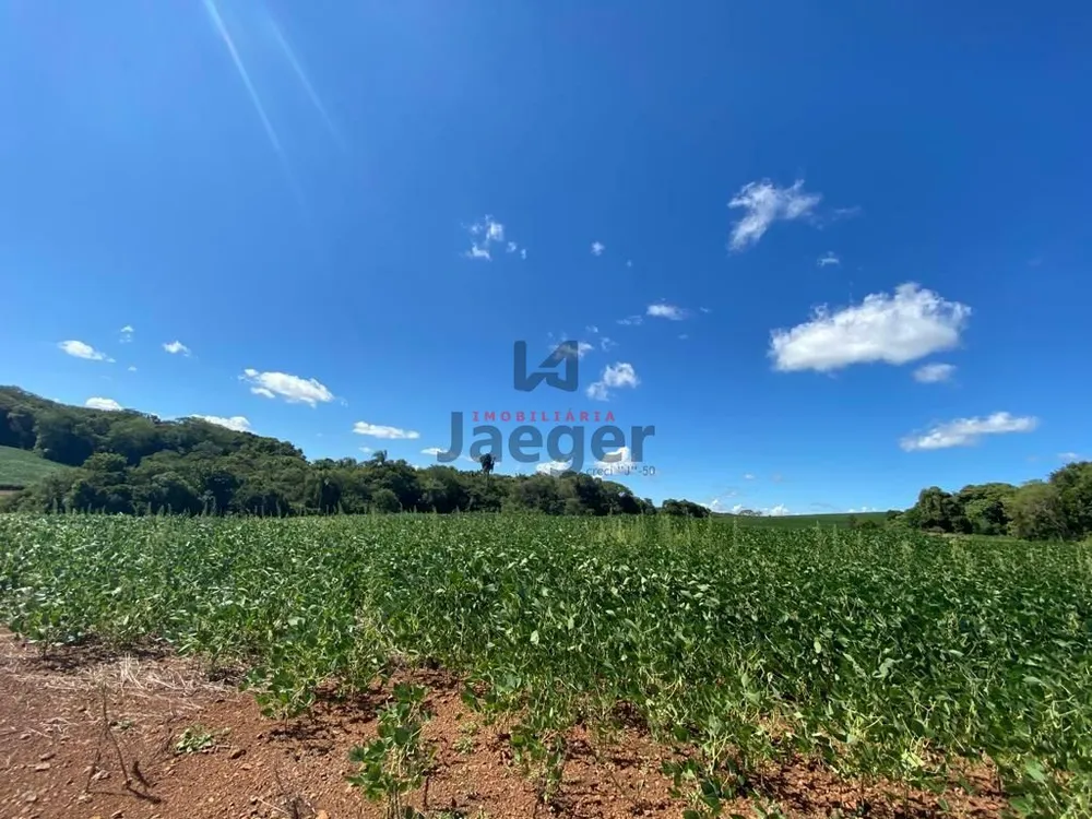 Terreno, 207 hectares - Foto 12