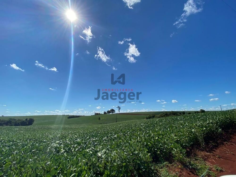 Terreno, 207 hectares - Foto 22