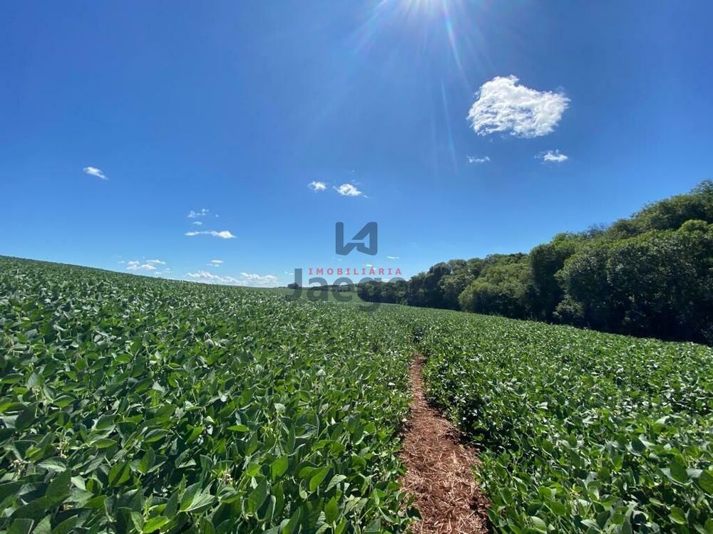 Terreno, 207 hectares - Foto 20