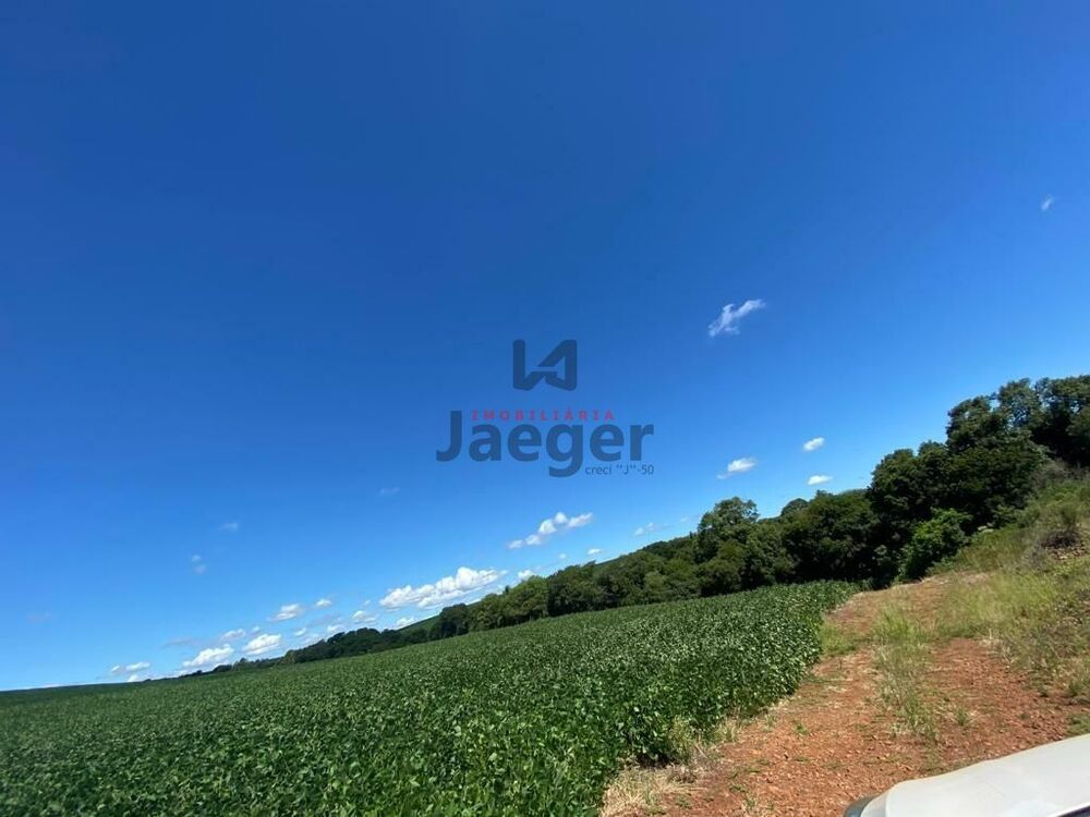 Terreno, 207 hectares - Foto 12