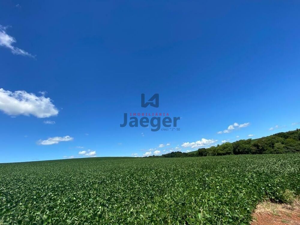 Terreno, 207 hectares - Foto 10