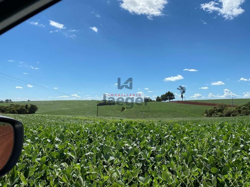 Terreno, 207 hectares - Foto 4