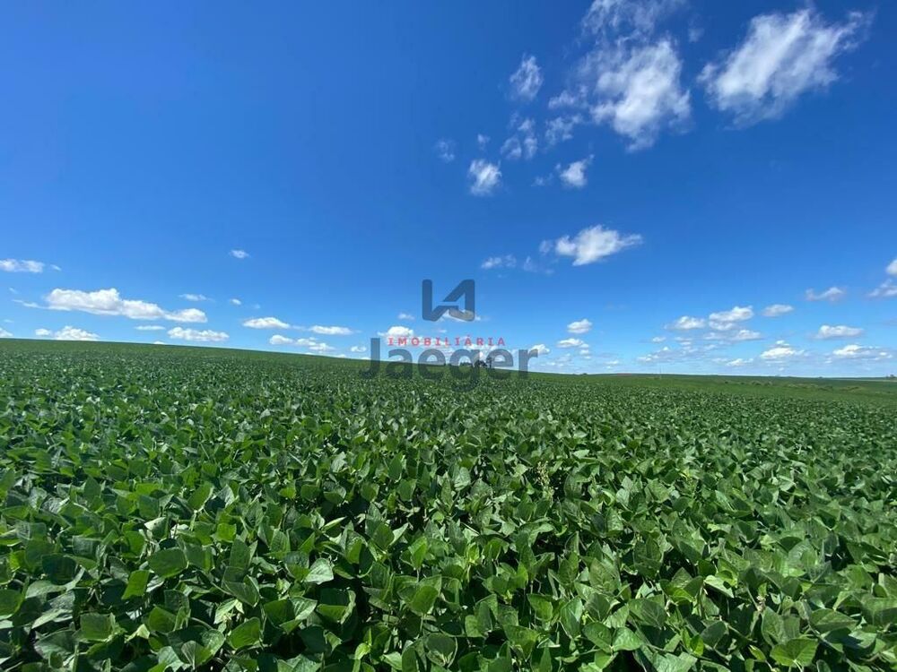 Terreno, 207 hectares - Foto 1