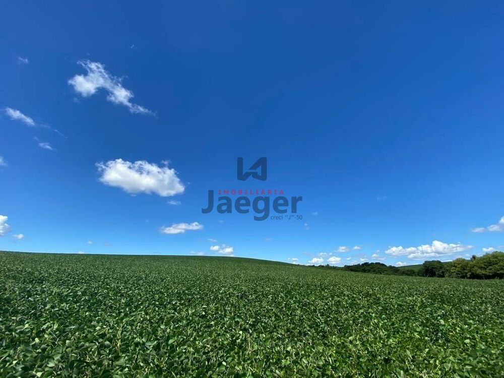 Terreno, 207 hectares - Foto 9