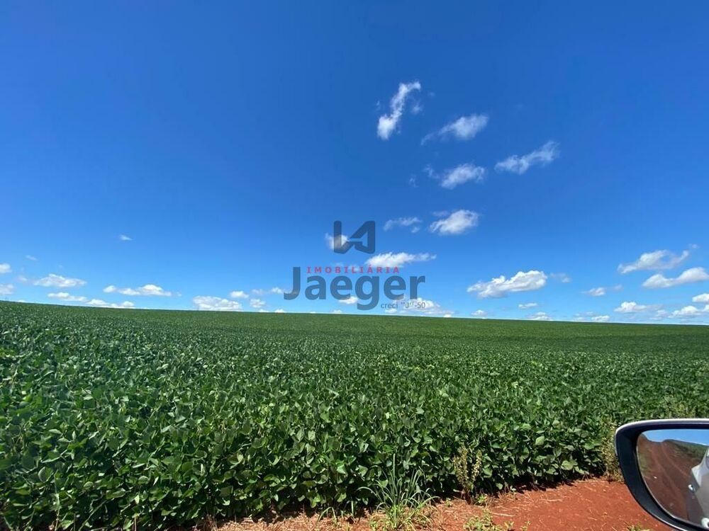 Terreno, 207 hectares - Foto 23
