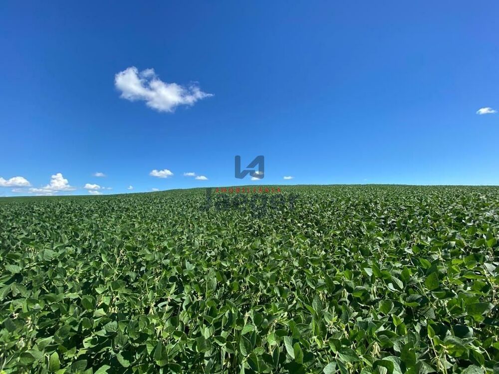 Terreno, 207 hectares - Foto 18