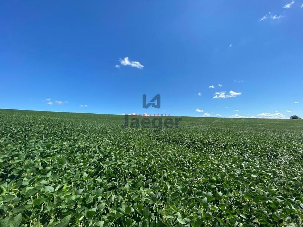 Terreno, 207 hectares - Foto 16