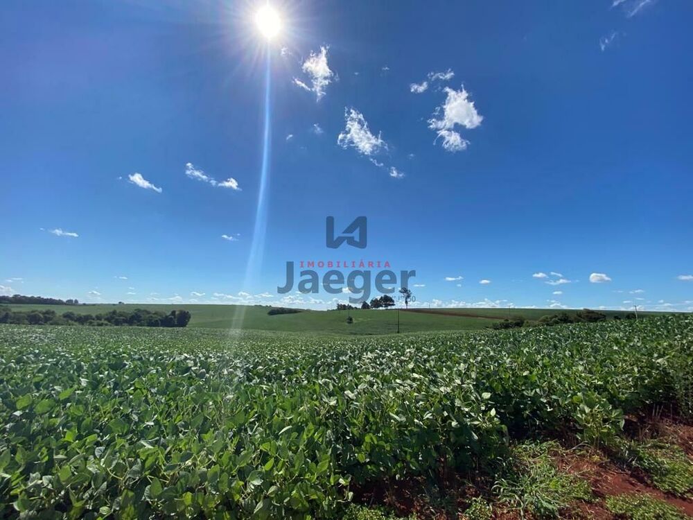 Terreno, 207 hectares - Foto 21