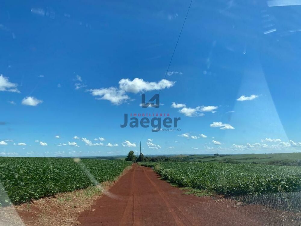 Terreno, 207 hectares - Foto 5