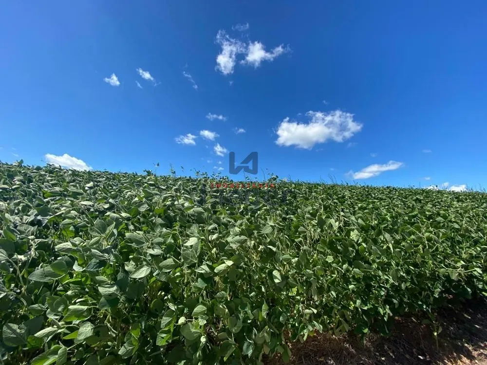 Terreno, 207 hectares - Foto 17