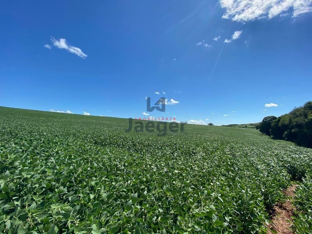 Terreno, 207 hectares - Foto 15