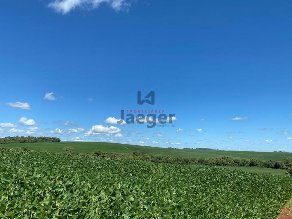 Terreno, 207 hectares - Foto 8