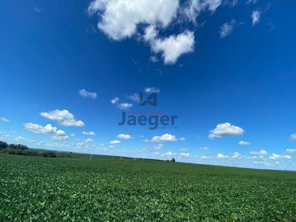 Terreno, 207 hectares - Foto 3