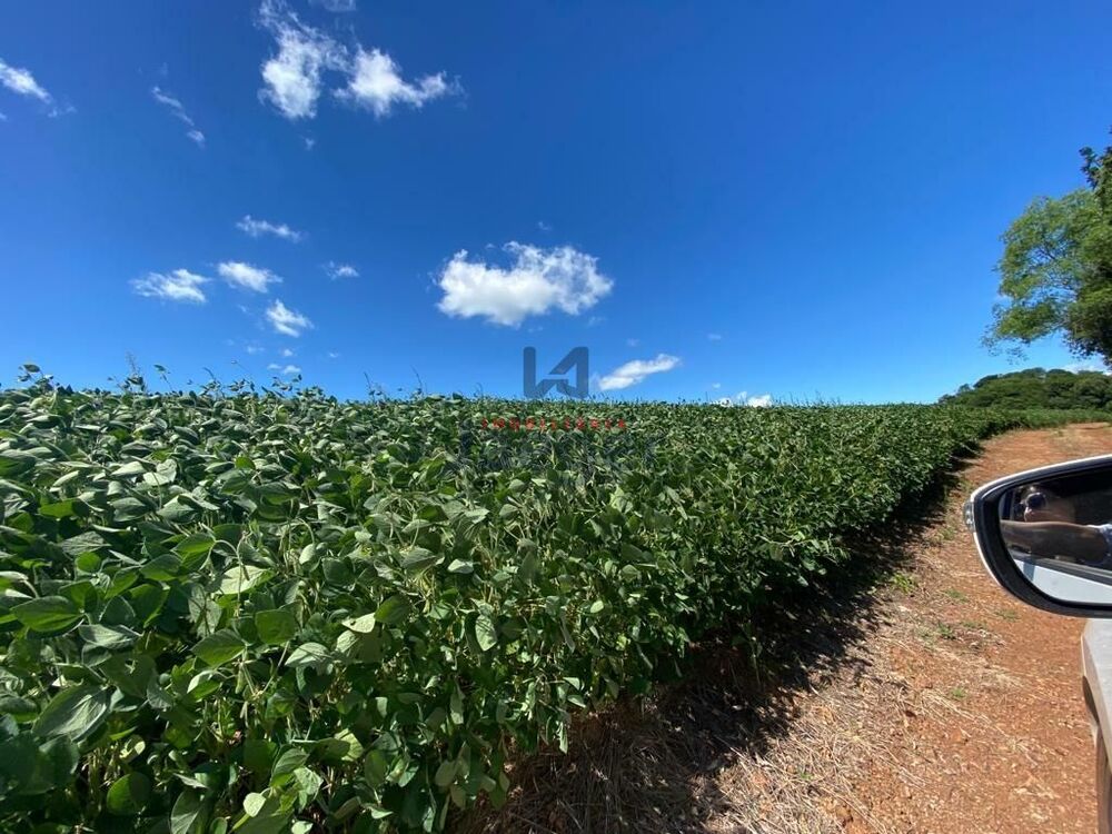 Terreno, 207 hectares - Foto 13