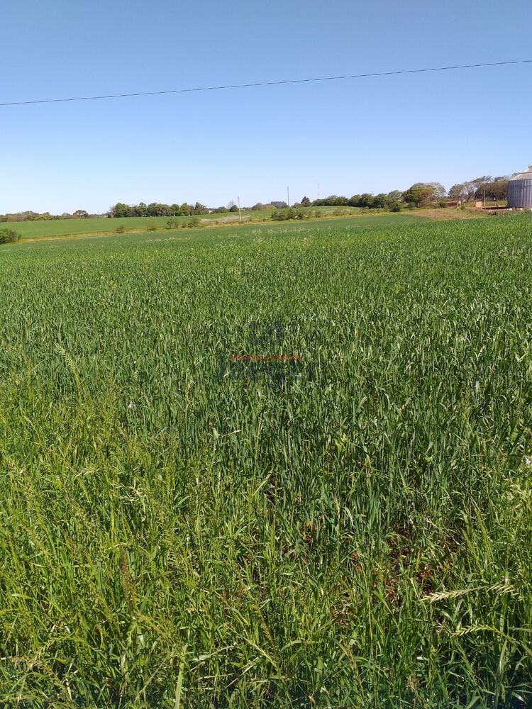 Chácara, 52 hectares - Foto 7