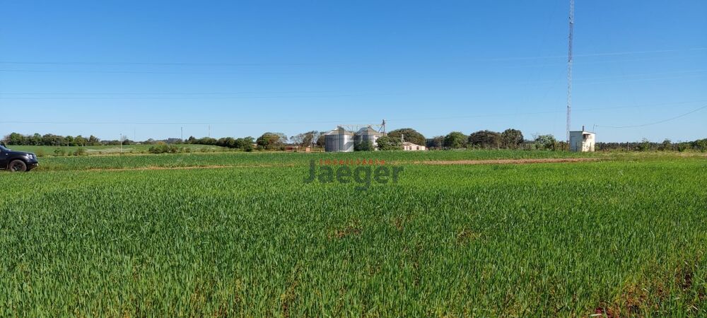 Chácara, 52 hectares - Foto 1