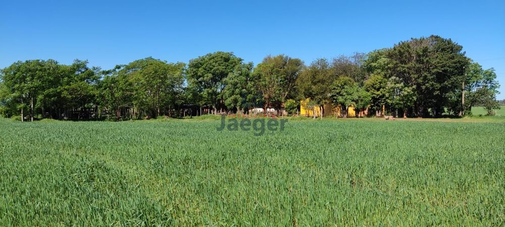 Chácara, 52 hectares - Foto 9