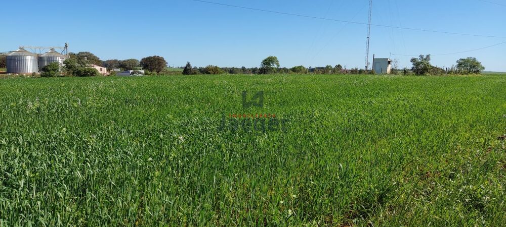 Chácara, 52 hectares - Foto 16