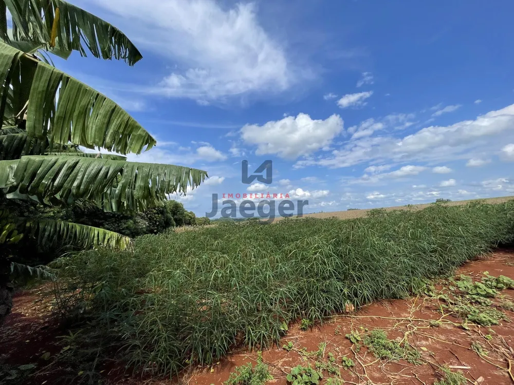Chácara, 3 quartos, 4 hectares - Foto 4