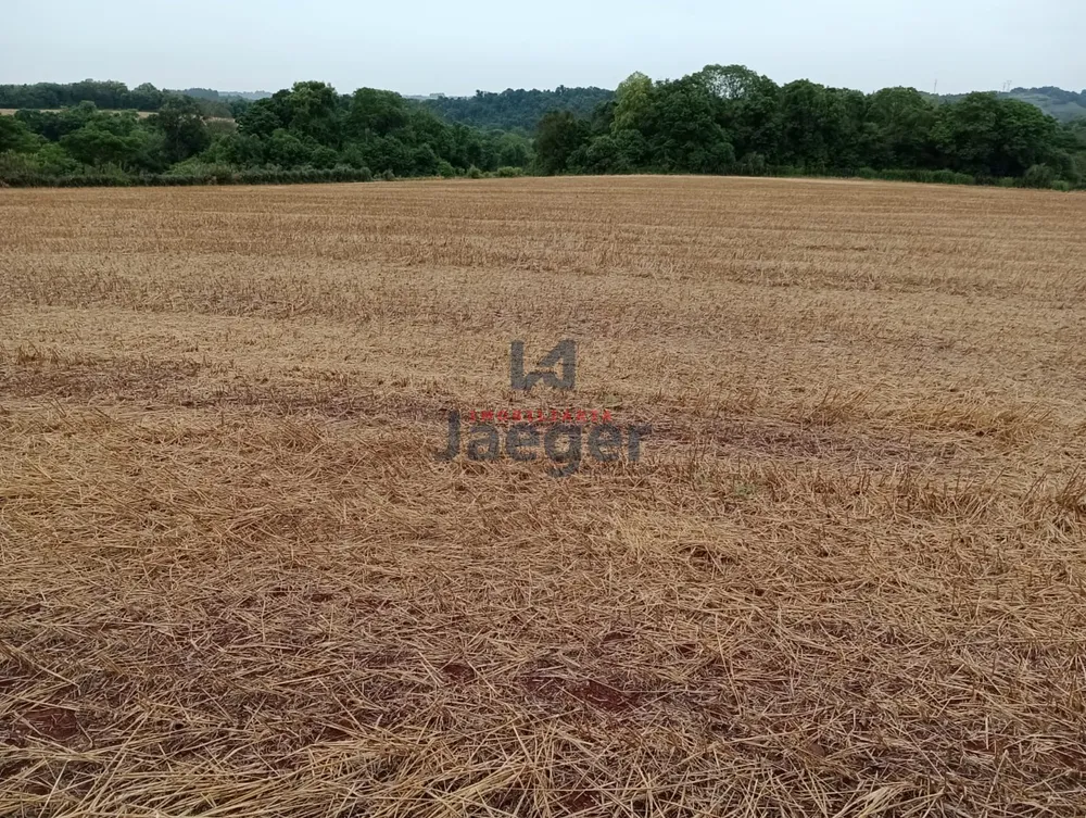 Terreno, 13 hectares - Foto 8