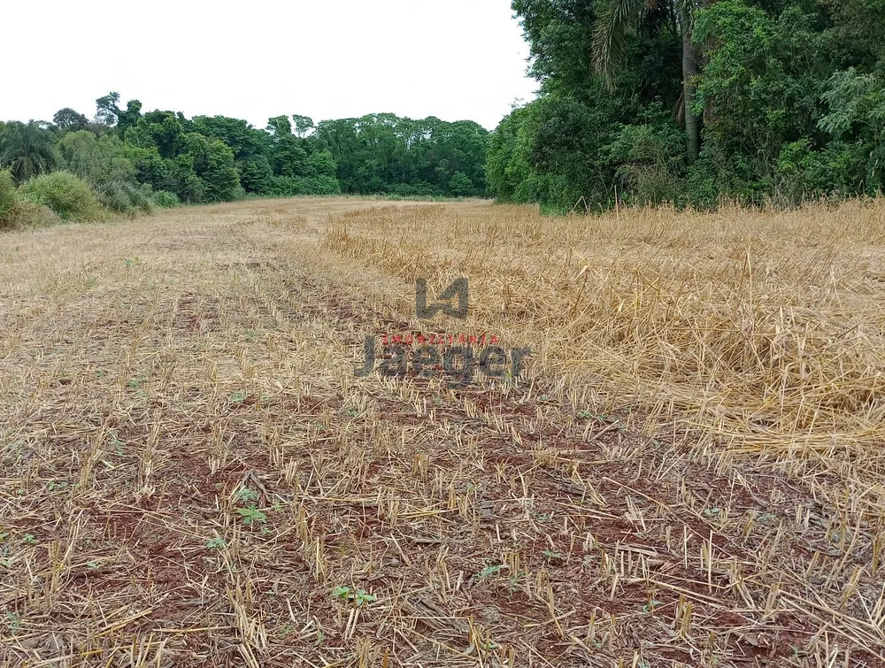 Terreno, 13 hectares - Foto 4