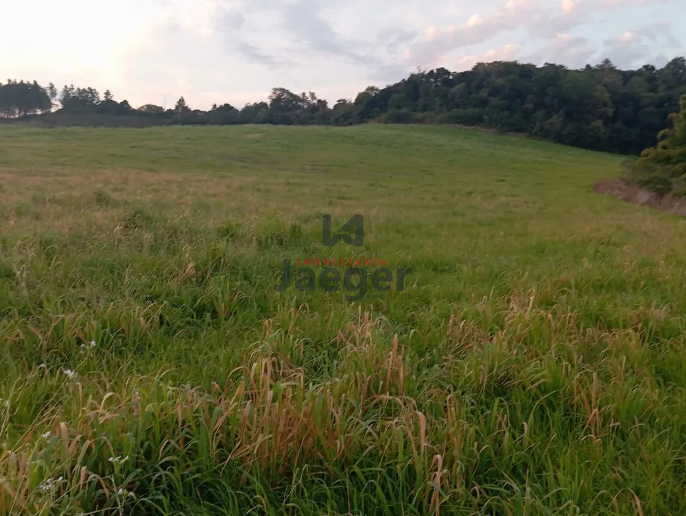 Sítio, 21 hectares - Foto 4