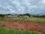 Terreno, 368 m² - Foto 2