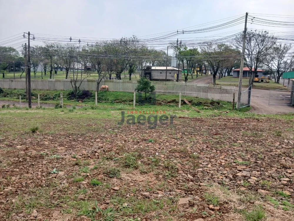 Depósito-Galpão - Foto 7