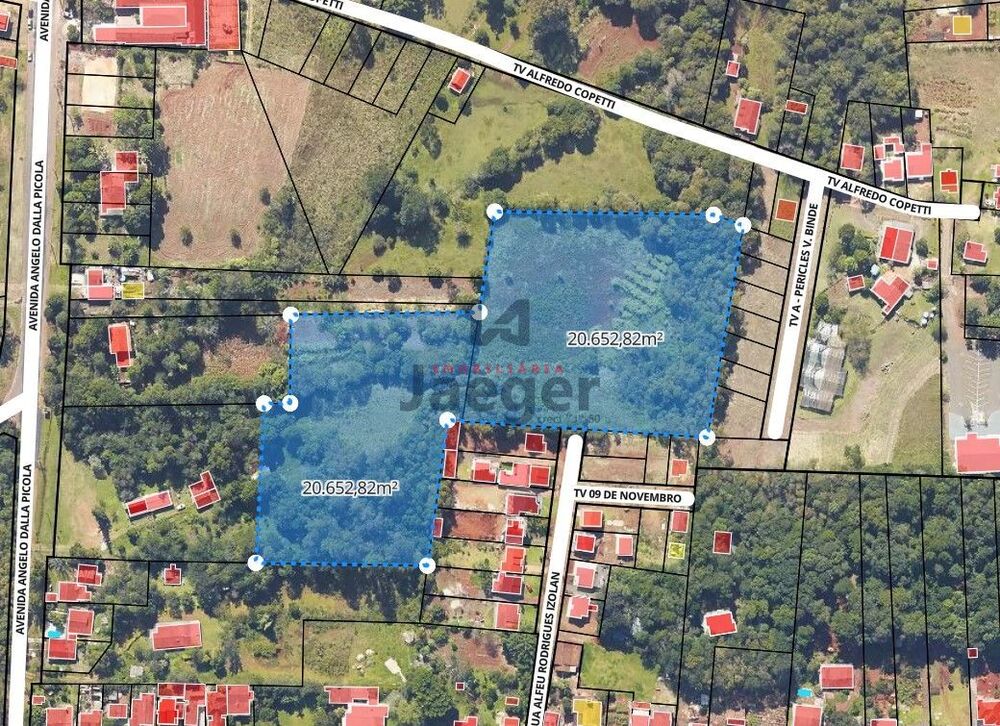 Terreno, 2 hectares - Foto 1