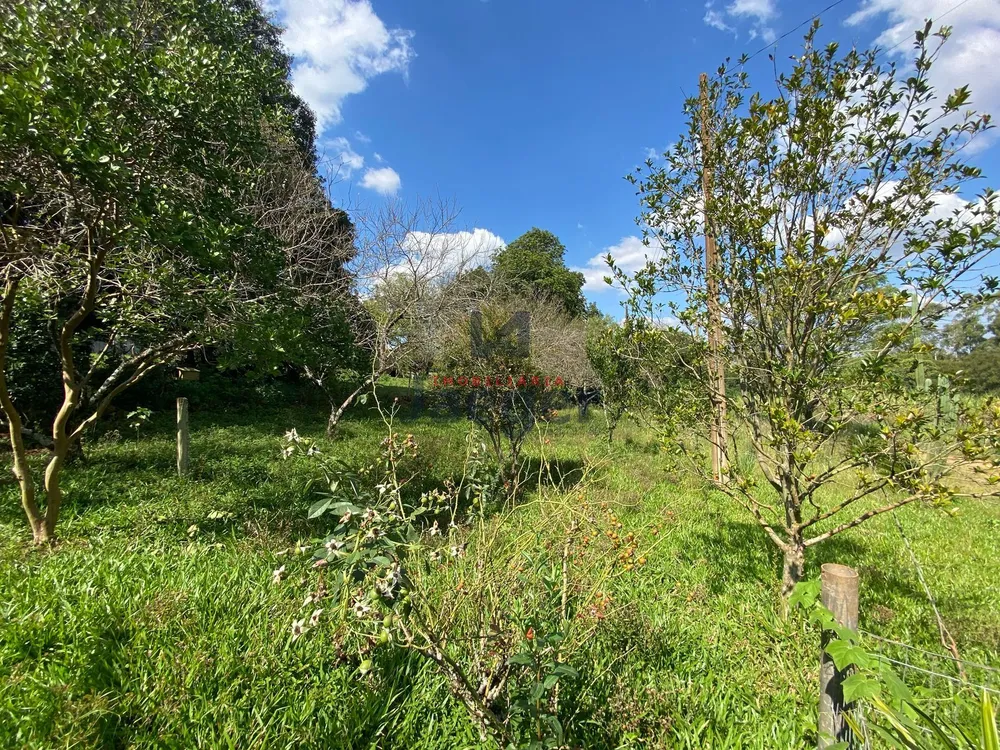 Sítio, 3 quartos, 3 hectares - Foto 8