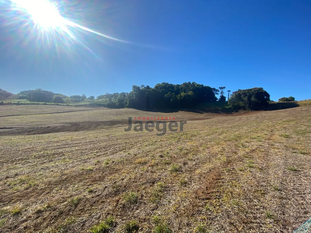 Terreno, 7 hectares - Foto 7