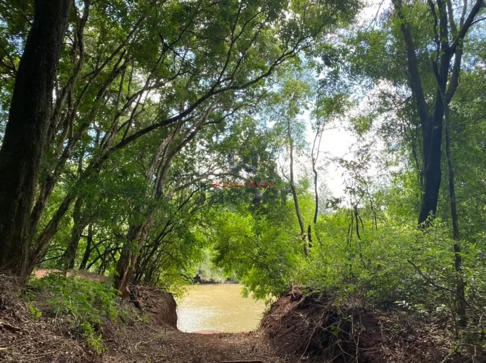 Chácara, 7 hectares - Foto 4