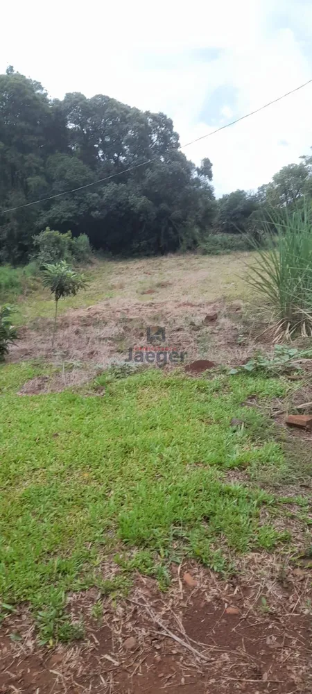Chácara, 1 hectares - Foto 1