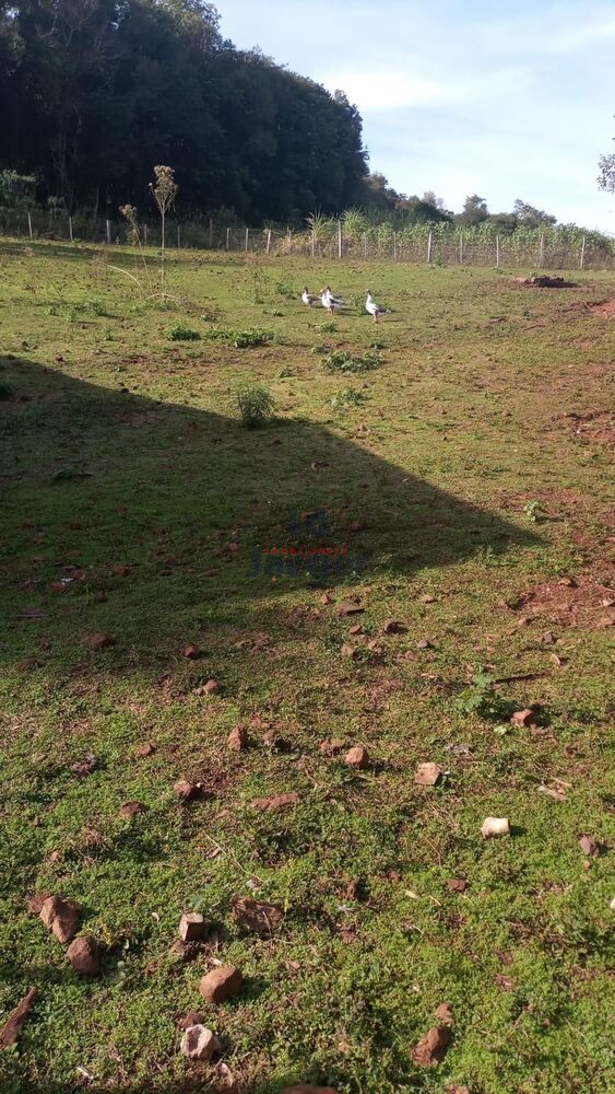 Sítio à venda com 2 quartos, 22000m² - Foto 20