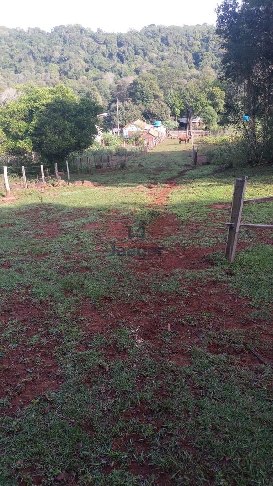 Sítio à venda com 2 quartos, 22000m² - Foto 23