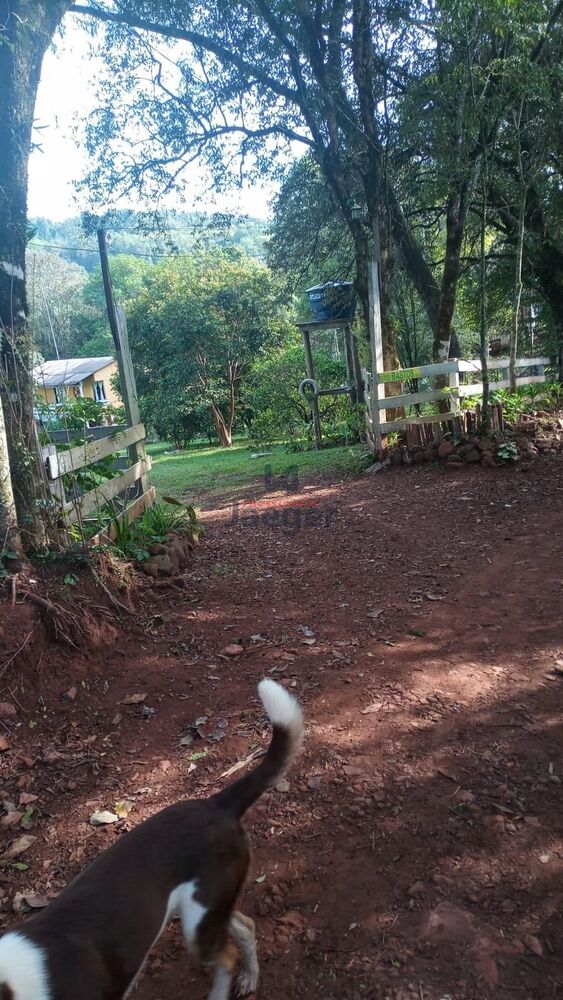 Sítio à venda com 2 quartos, 22000m² - Foto 21