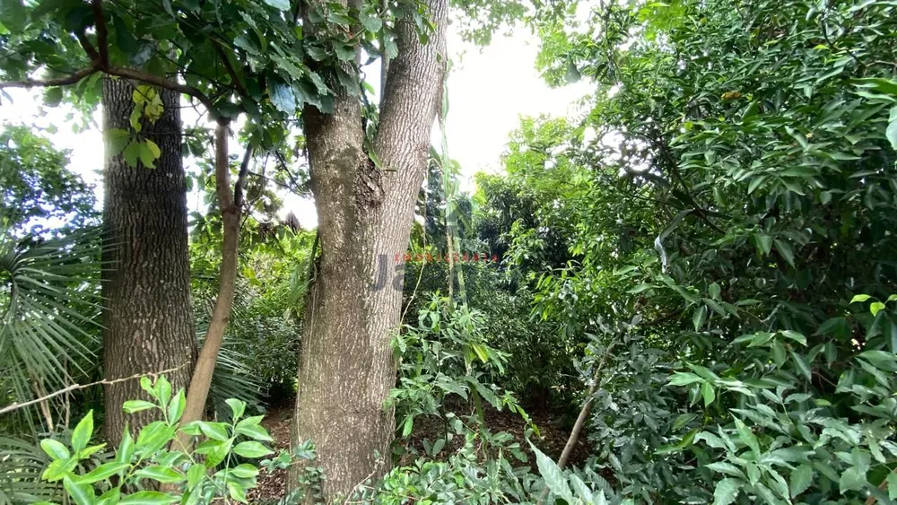 Terreno, 1027 m² - Foto 6